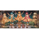 Giant 180cm by 76cm Photo of Panca Tattva 